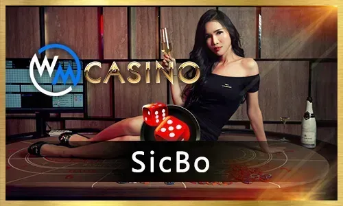 Tracksino Slot Machines